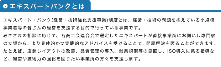 エキスパートバンク概要